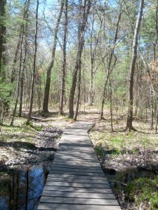 boardwalk