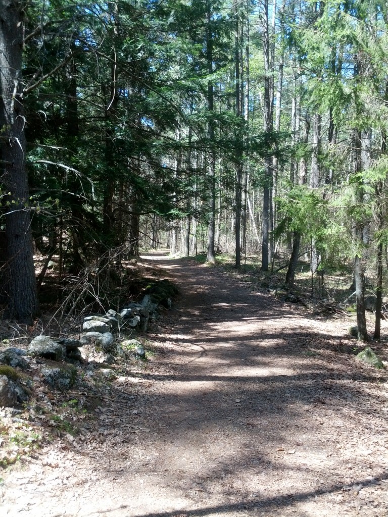 main trail