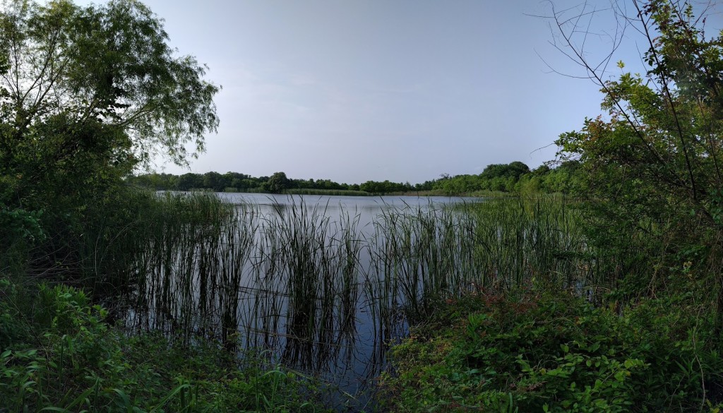 pond pano